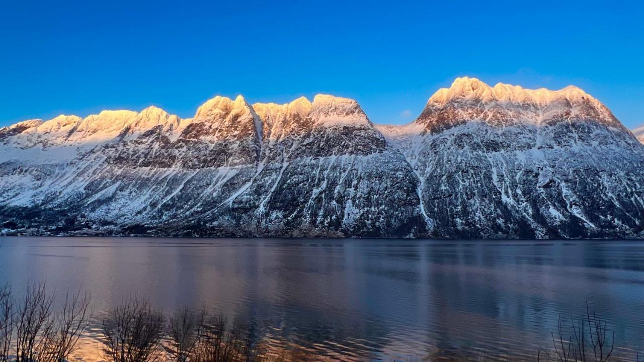 דירות Gratangen Norwegian Dream מראה חיצוני תמונה